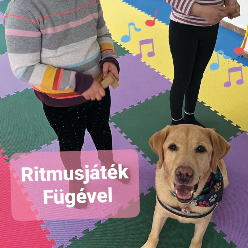 Iskola-előkészítés kutya közreműködésével